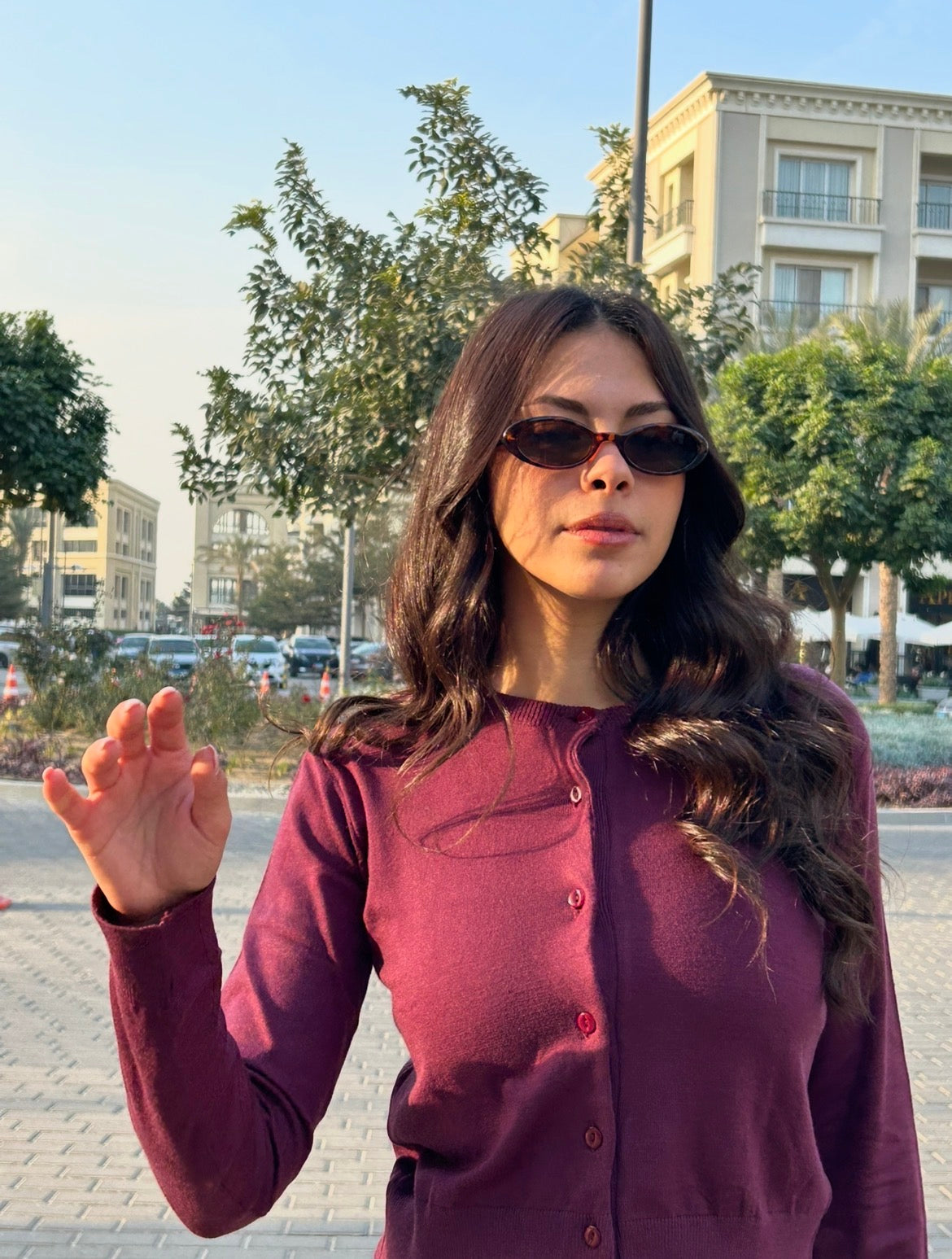 Burgundy Buttoned Cardigan